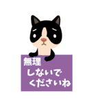 【丁寧な仕事対応】BIG☆できる猫さんver.（個別スタンプ：18）