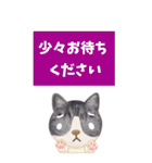 【丁寧な仕事対応】BIG☆できる猫さんver.（個別スタンプ：38）