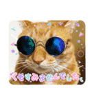 なつめThe orange tabby（個別スタンプ：12）