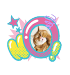 なつめThe orange tabby（個別スタンプ：15）