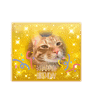 なつめThe orange tabby（個別スタンプ：38）
