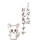 余白には白い猫がいるよ その1（敬語）（個別スタンプ：3）