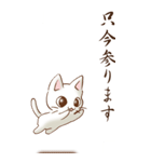 余白には白い猫がいるよ その1（敬語）（個別スタンプ：19）