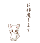 余白には白い猫がいるよ その1（敬語）（個別スタンプ：21）