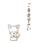 余白には白い猫がいるよ その1（敬語）（個別スタンプ：32）