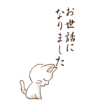 余白には白い猫がいるよ その1（敬語）（個別スタンプ：36）