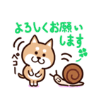 fun柴犬☆愉快な仲間たち（個別スタンプ：7）