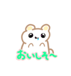 キラ★くま（個別スタンプ：13）
