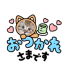 CAT CAT CATこねこ（個別スタンプ：3）