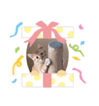 CAT CAT CATこねこ（個別スタンプ：6）