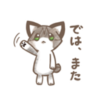 日常で使いやすいキジシロねこ（個別スタンプ：25）