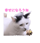 1階ねこーずスタンプ2021年から2023（個別スタンプ：20）