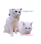 1階ねこーずスタンプ2021年から2023（個別スタンプ：24）
