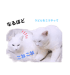 1階ねこーずスタンプ2021年から2023（個別スタンプ：30）