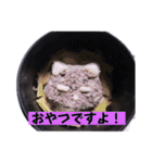 1階ねこーずスタンプ2021年から2023（個別スタンプ：35）