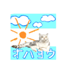 【公式】乱痴気の日常スタンプ（個別スタンプ：1）