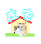 【公式】乱痴気の日常スタンプ（個別スタンプ：11）