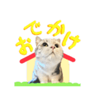 【公式】乱痴気の日常スタンプ（個別スタンプ：12）