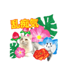 【公式】乱痴気の日常スタンプ（個別スタンプ：27）