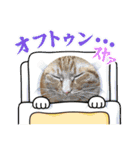 ♥めめスタンプ♥（個別スタンプ：19）