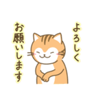 ねこのお吉（個別スタンプ：1）