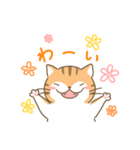 ねこのお吉（個別スタンプ：2）