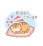 ねこのお吉（個別スタンプ：13）