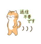 ねこのお吉（個別スタンプ：19）