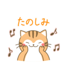 ねこのお吉（個別スタンプ：28）