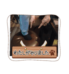 はっぴーはんばーぐぅ（個別スタンプ：14）