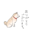めいっぽいスタンプ2（個別スタンプ：23）