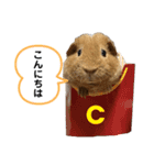 モル界のアイドルチャッピー（個別スタンプ：2）