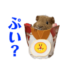 モル界のアイドルチャッピー（個別スタンプ：15）