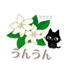 年中お花と一緒です☆黒猫花図鑑(改)（個別スタンプ：13）
