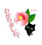 年中お花と一緒です☆黒猫花図鑑(改)（個別スタンプ：15）
