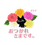 年中お花と一緒です☆黒猫花図鑑(改)（個別スタンプ：20）
