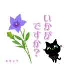 年中お花と一緒です☆黒猫花図鑑(改)（個別スタンプ：31）