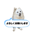 かわいいねプクちゃん（個別スタンプ：10）