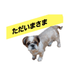 こっちゃん(2)（個別スタンプ：8）