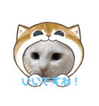 ぬくぬくマルシロ（個別スタンプ：3）