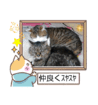 愛猫3匹☆ハムスター☆（個別スタンプ：39）