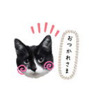 うちの子ですけど、何か？（個別スタンプ：1）
