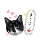 うちの子ですけど、何か？（個別スタンプ：2）