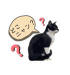うちの子ですけど、何か？（個別スタンプ：12）