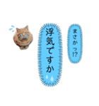 うちの子ですけど、何か？（個別スタンプ：13）