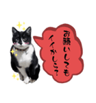 うちの子ですけど、何か？（個別スタンプ：14）
