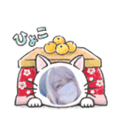 Dream Catsのスタンプ！第二弾（個別スタンプ：12）