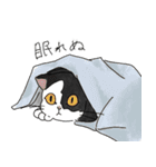 猫詰め（個別スタンプ：8）