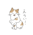 猫詰め（個別スタンプ：15）