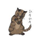 猫詰め（個別スタンプ：19）